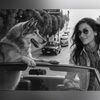 catblackburn04